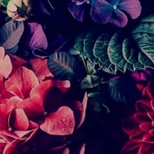 Meet your Posher, Angel